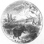 cw indiana seal